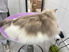 -贝康宠物医院·犬猫全科·小动物特色诊疗中心(东环路店)