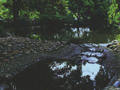 -成都市活水公园