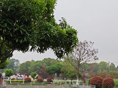 -洪湖家庭农场·团建·露营·会议