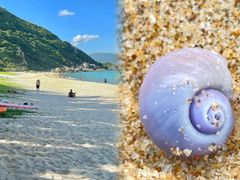 -三亚蜈支洲岛旅游区