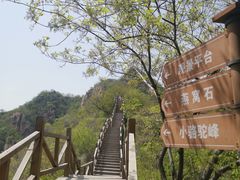 -大岭沟猕猴桃谷风景区
