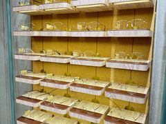 -MUJOSH木九十眼镜(苏州中心店)