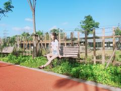 -上海长兴岛郊野公园