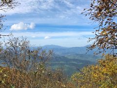 -白草畔自然风景区