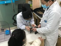 -菲尔斯特宠物医院