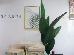 -杨丹国际美学肌研所