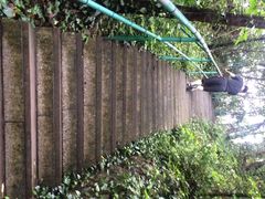 -宁波五龙潭景区