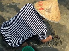 -北海金海湾红树林生态旅游区