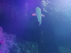 -沈阳海洋探索中心