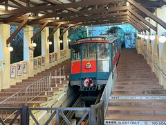 -神户市立六甲山牧场