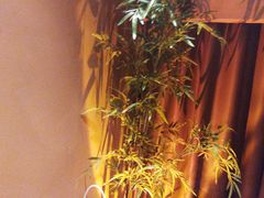 -宁采臣Sleep·采耳·SPA放松馆(湖里万达店)