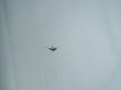 -豪泰168酒店(无锡上马墩靖海地铁站店)