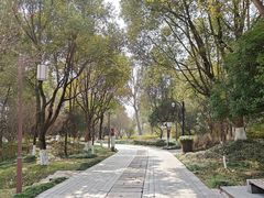 -西溪国家湿地公园