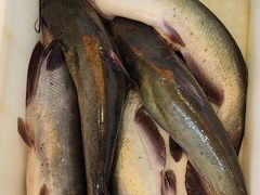 -江湖水乡铁锅炖魚(周庄嘉园店)