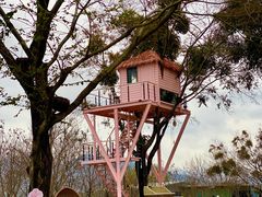 -福建鲤鱼洲酒店