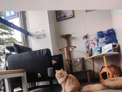 -爱诺耐芙动物医院(万博店)