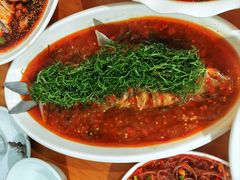 -老字号怡玺·藿香雅鱼(20年雅安店)