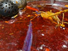 -肖肖酸萝卜鱼火锅(总店)