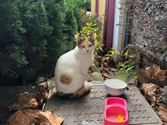 -复旦张江校区食堂