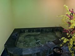 -兴芮温泉度假区