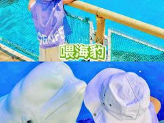 -秦皇岛乐岛海洋王国