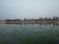 -龙舟池