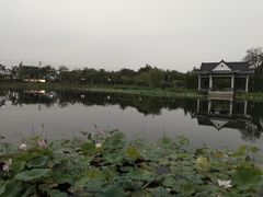 -映月湖公园