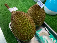 猫山王榴莲-新峰肉骨茶