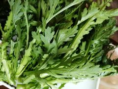 -红鼎坊·老成都火锅(新南门店)