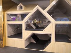 -Lilliput·粒粒堡亲子餐厅(嘉定宝龙店)