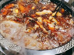 -蜀渔轩美蛙鱼火锅(郫筒店)