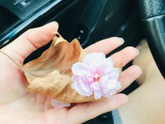 -好利来(宣武门店)