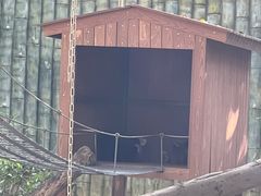 -深圳野生动物园