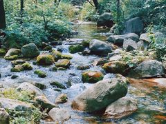 -玉渡山自然风景区