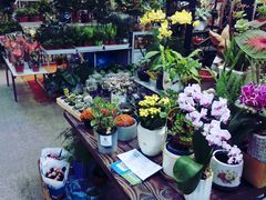 -双季花艺园艺市场(浦东店)