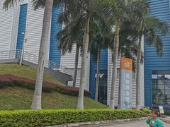 -奥林匹克体育中心游泳馆