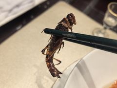 -燕春楼(海河华鼎店)