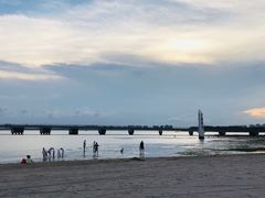 -东郊椰林