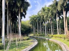 -南宁南湖公园