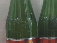 红乌苏-柴窝堡辣子鸡(文艺路店)