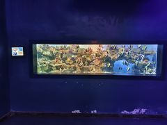 -海合安青岛极地海洋公园