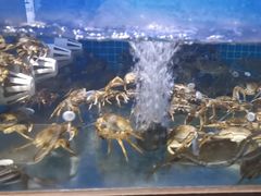 -蟹小姐节气生鲜·年货(高新店)