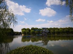 -上海鲜花港