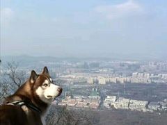 -紫金山天文台