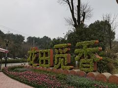 -铁山坪森林公园