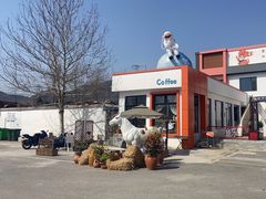 -向外鱼乐·土菜·虹鳟鱼