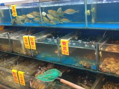 水产区-得记得潮州海鲜砂锅粥(宝业路店)