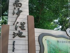 -大湾区中央湿地公园