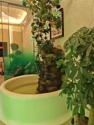 点击看大图 -卡尔诗·科技美肤连锁