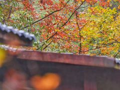 -大鄣山卧龙谷景区